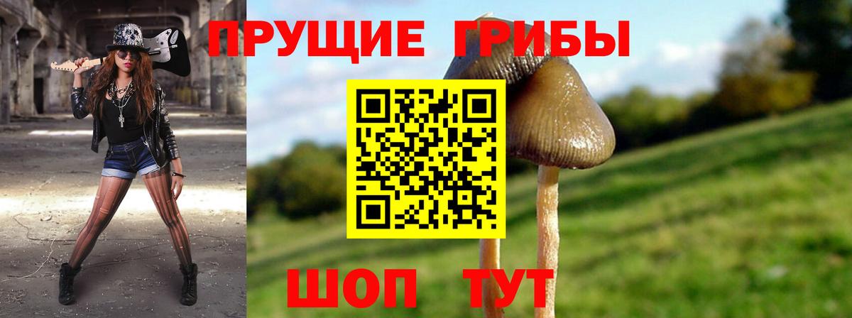 Кириши  Псилоцибиновые грибы мицелий  купить наркоту  Вход с VPN 